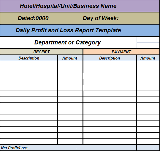 Monthly Profit And Loss Template Excel from www.freereporttemplate.com