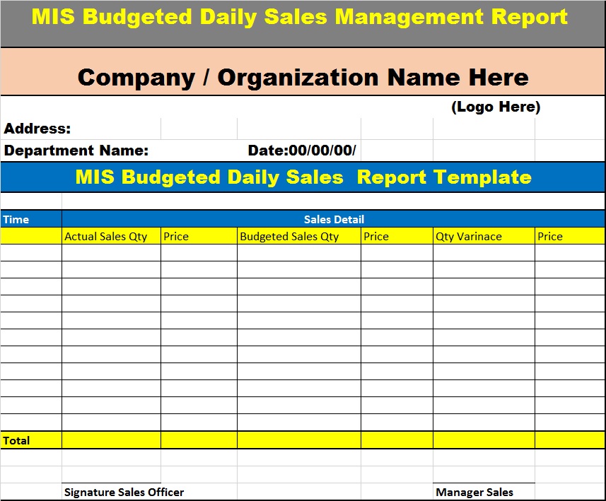 MIS Management Report Template