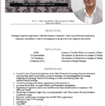 Internal Auditor Resume Template